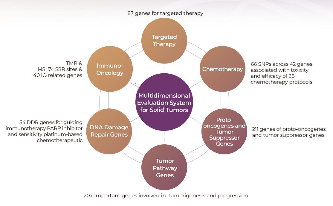 5.1-Genecast ctDNA Comprehensive 插图1.png